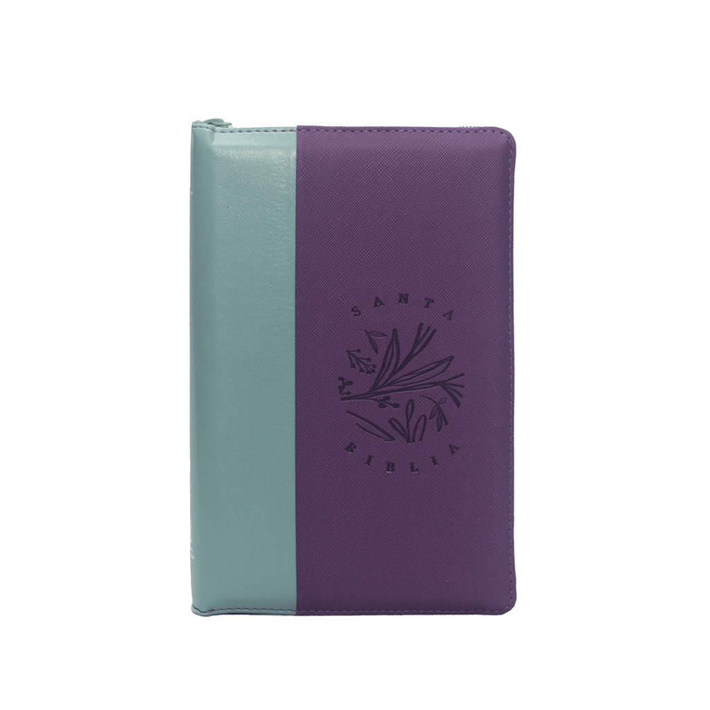 RVR066ZLG PJR COLOR MORADO VERDE CANTO PINTADO AYUDAS QR pjr color morado verde canto pintado ayudas qr