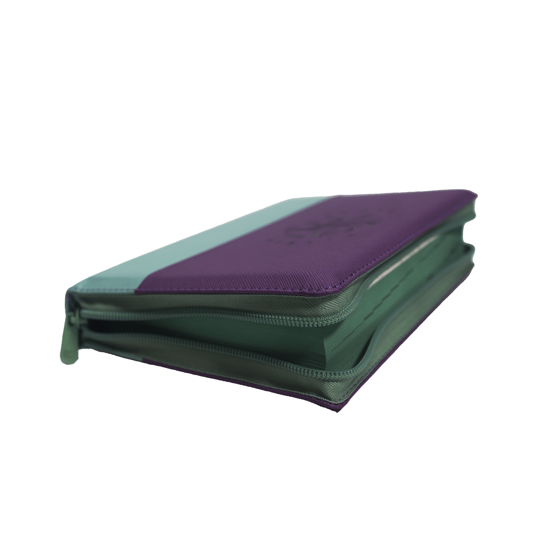 pjr color morado verde canto pintado ayudas qr pjr color morado verde canto pintado ayudas qr