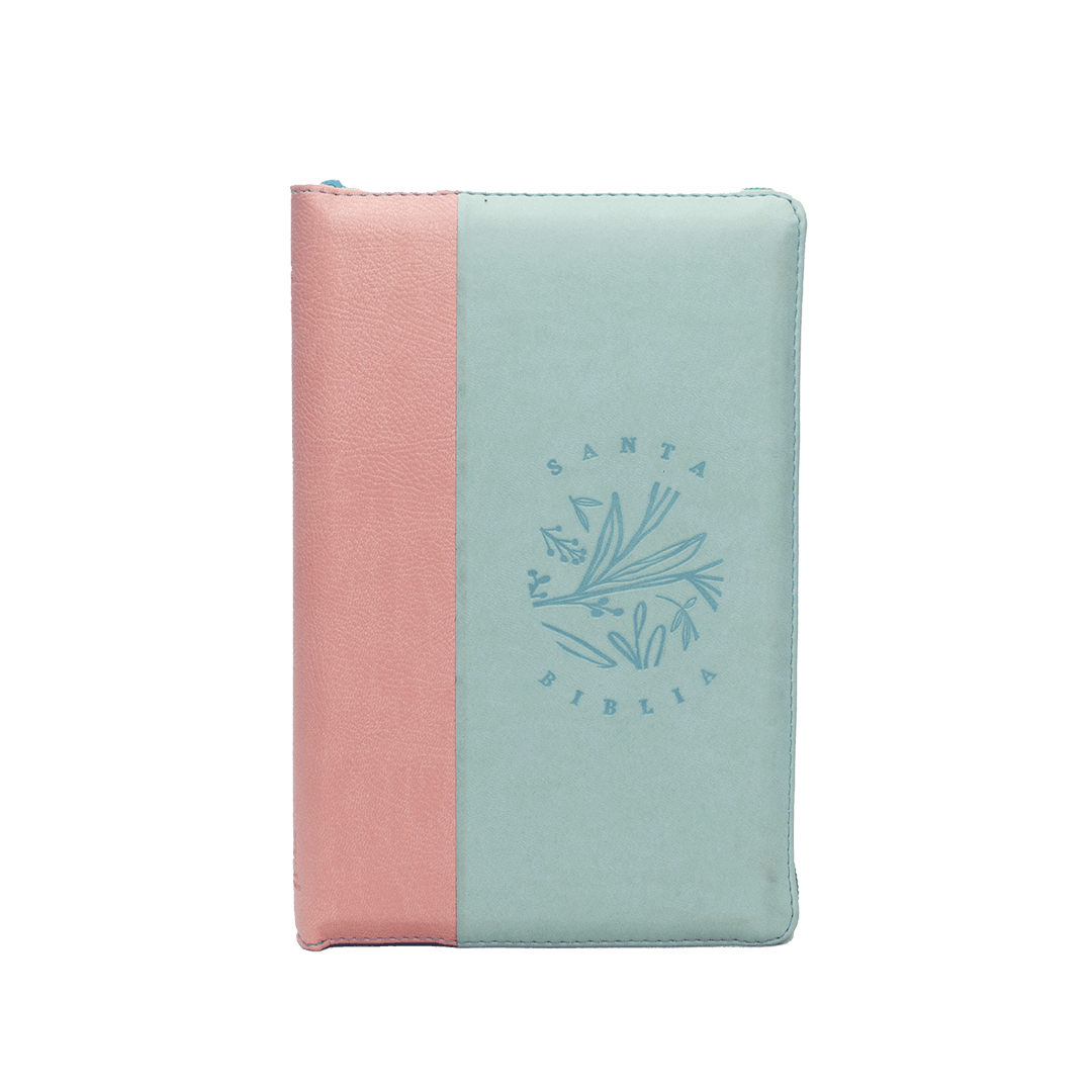 pjr color verde rosado canto pintado ayudas qr pjr color verde rosado canto pintado ayudas qr