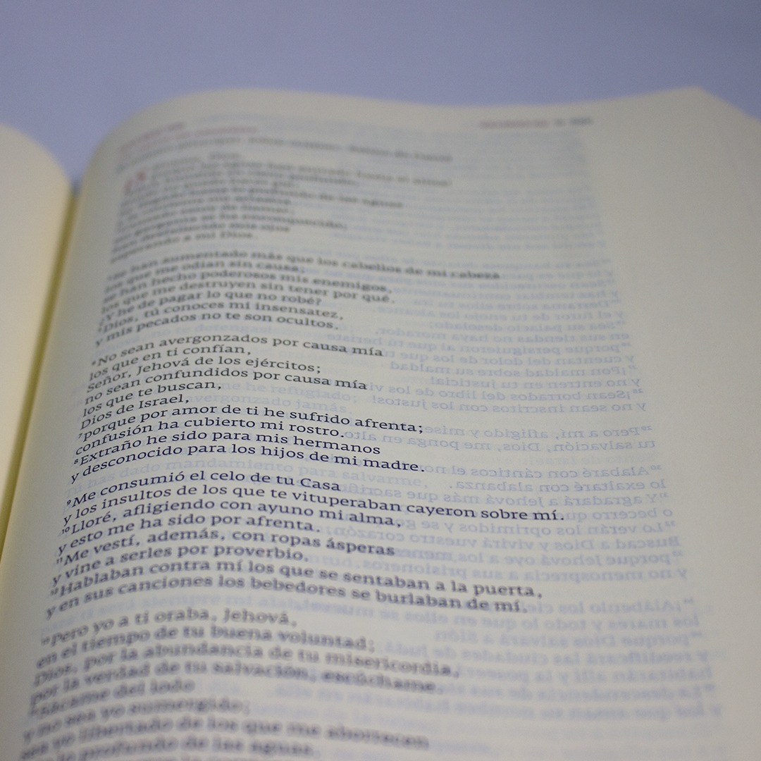 biblia hebraica con prefÁcio bilingue, tapa dura marrÓn (copia) biblia hebraica con prefÁcio bilingue, tapa dura marrÓn (copia)