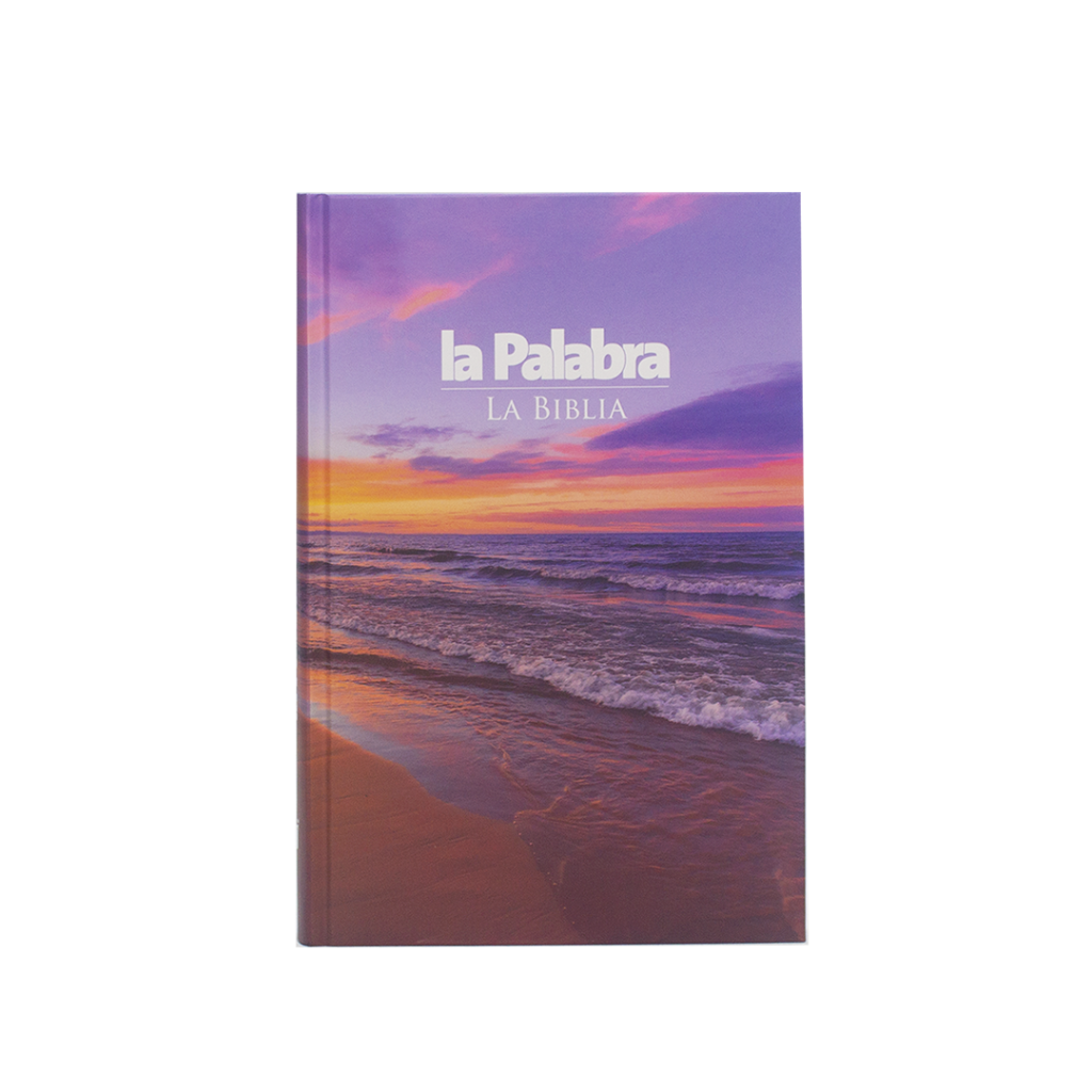 biblia rvr95080dk biblia del siglo de oro (copia)