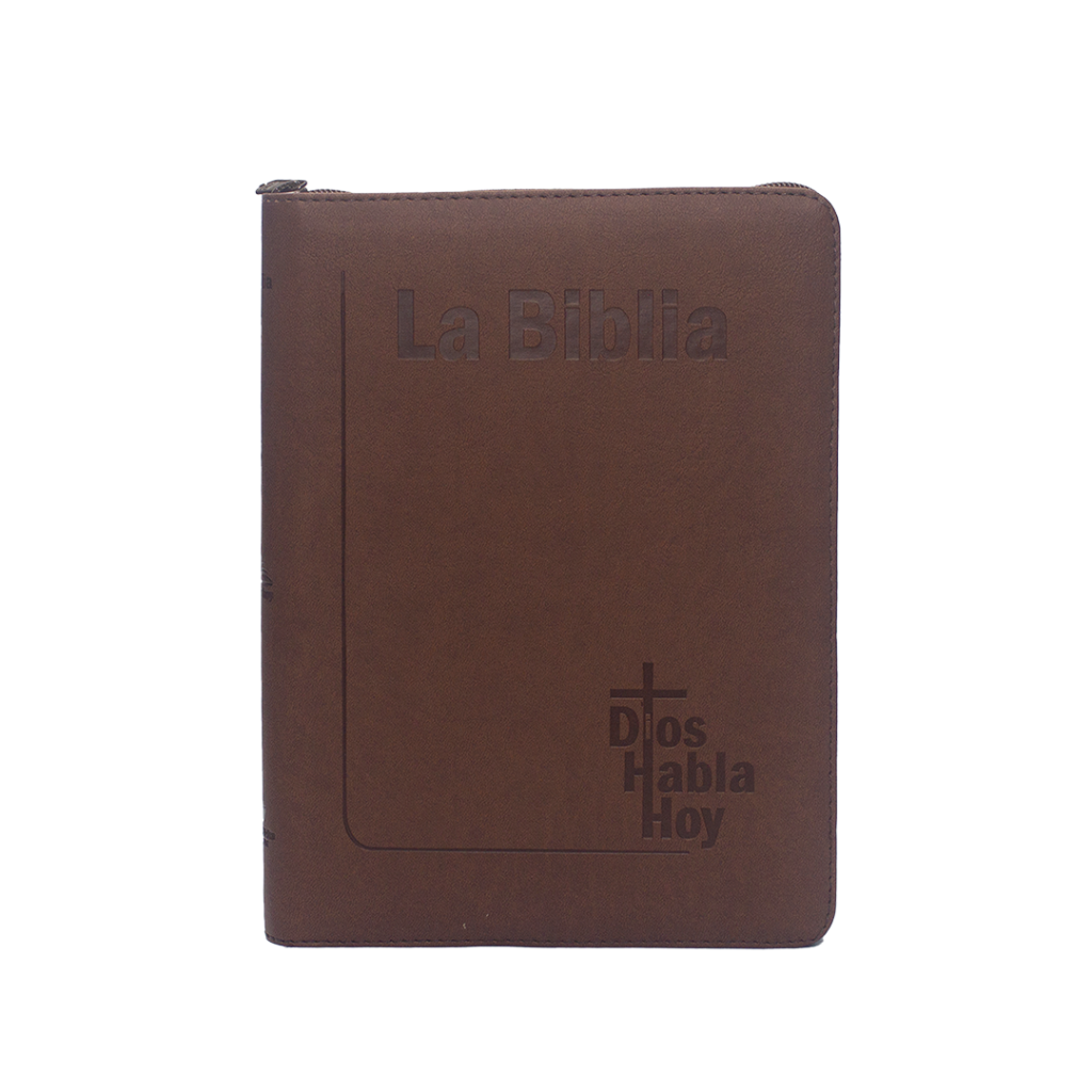 biblia dhh043 dk ilustrada /valiente con jesus t/d (copia)