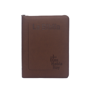 biblia dhh043 dk ilustrada /valiente con jesus t/d (copia)