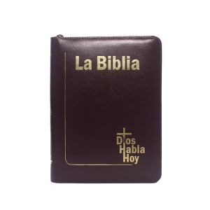 biblia dhh043 dk ilustrada /valiente con jesus t/d (copia)