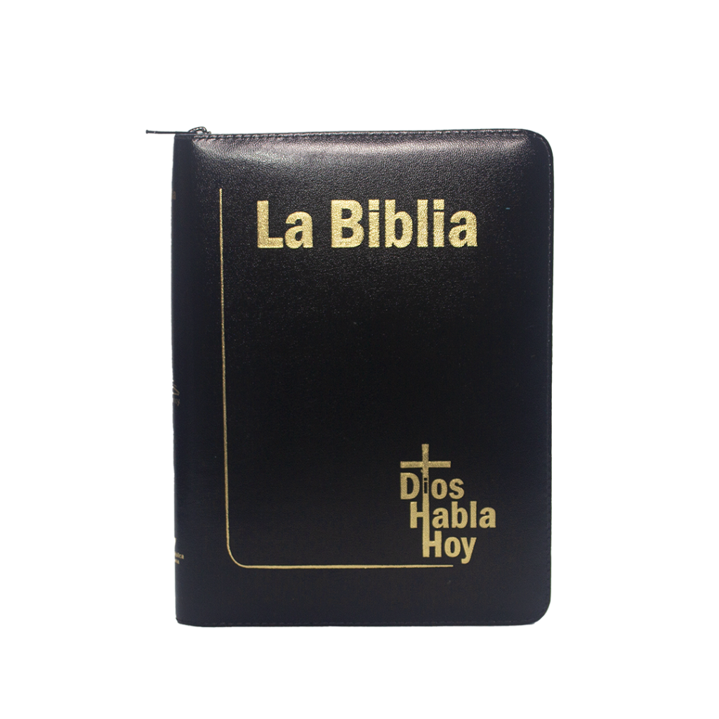 dhh085dkzlgla vinotinto canto amarillo (copia)