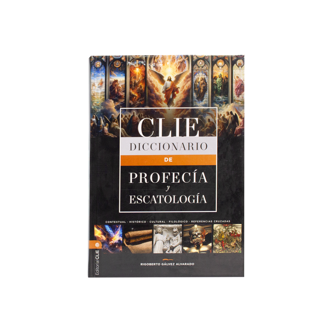 diccionario de dificultades y aparentes contrad. bib. (ed. rústica) (spanish edition) (copia)