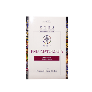 diccionario de dificultades y aparentes contrad. bib. (ed. rústica) (spanish edition) (copia)