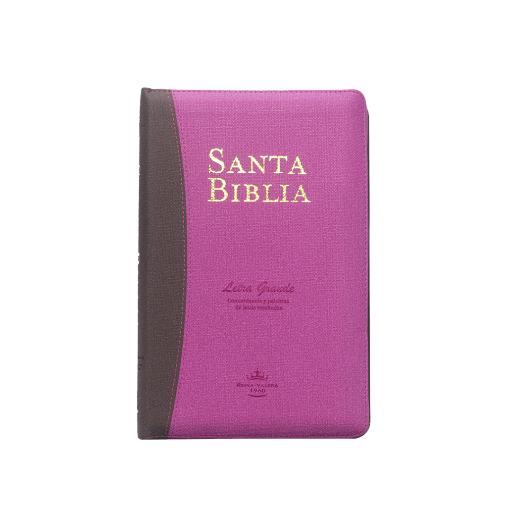 RVR065C PJRZTI – ROSA/MARRON rvr086ctilsgi pjr color fucsia blanco ayudas qr (copia)