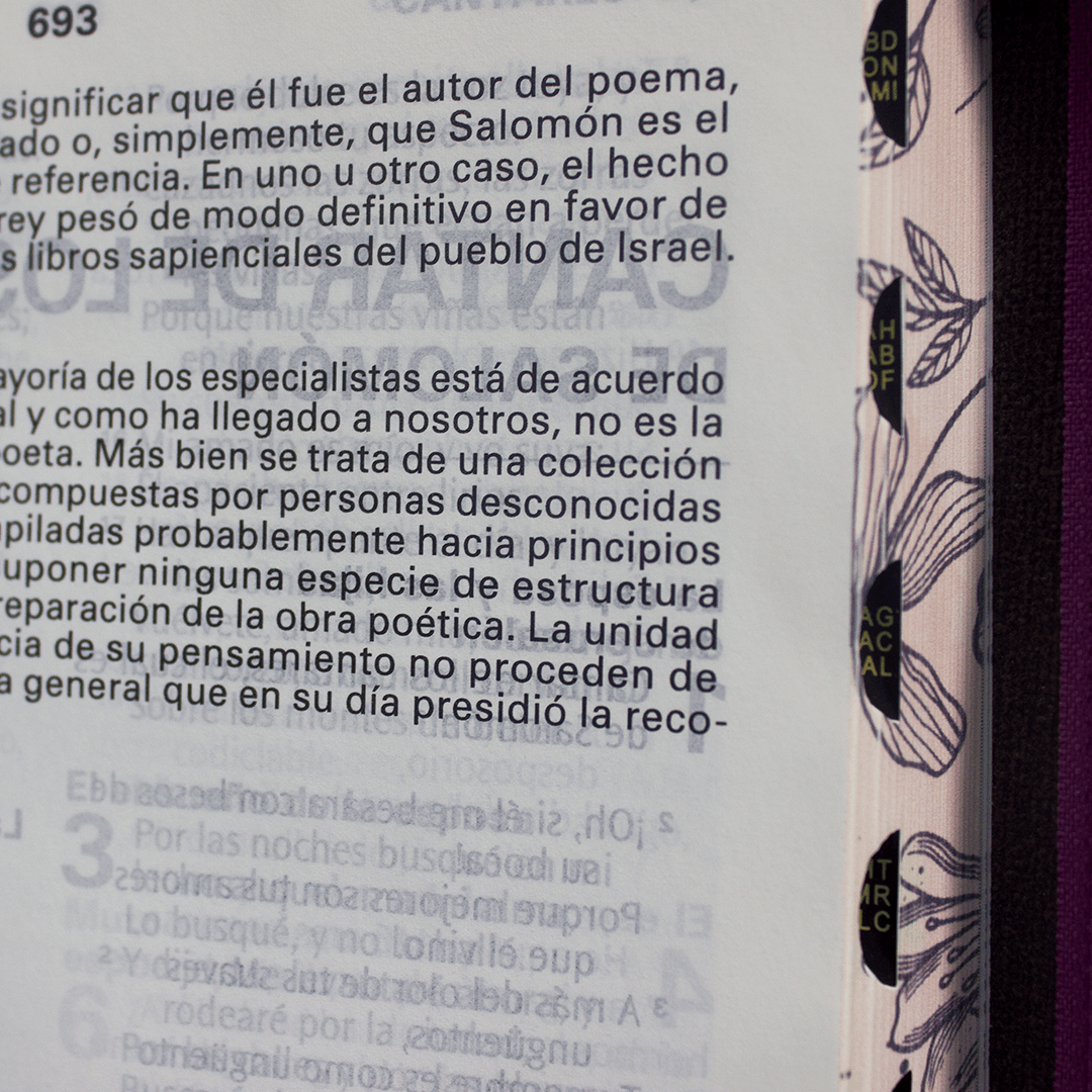 rvr086ctilsgi pjr color fucsia blanco ayudas qr (copia) rvr086ctilsgi pjr color fucsia blanco ayudas qr (copia)