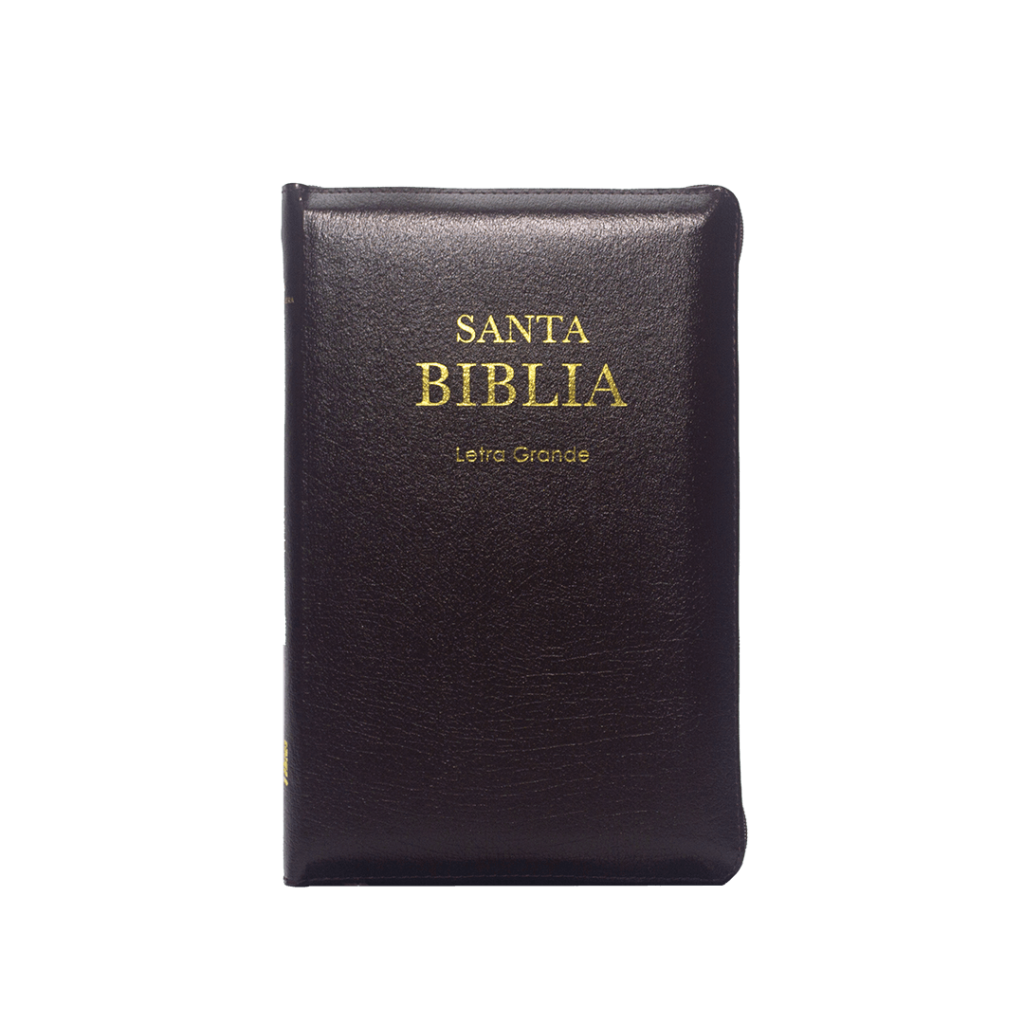 rvr069czpjrti biblia canto dorado letra grande negra (copia)