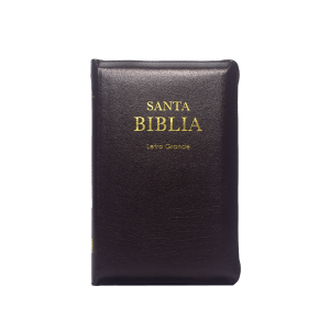 rvr069czpjrti biblia canto dorado letra grande negra (copia)