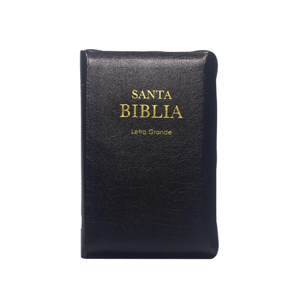 rvr069czpjrti biblia canto dorado letra grande negra