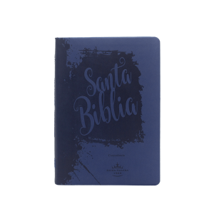 rvr066clgpjrti biblia rvr 1960 azul con concordancia