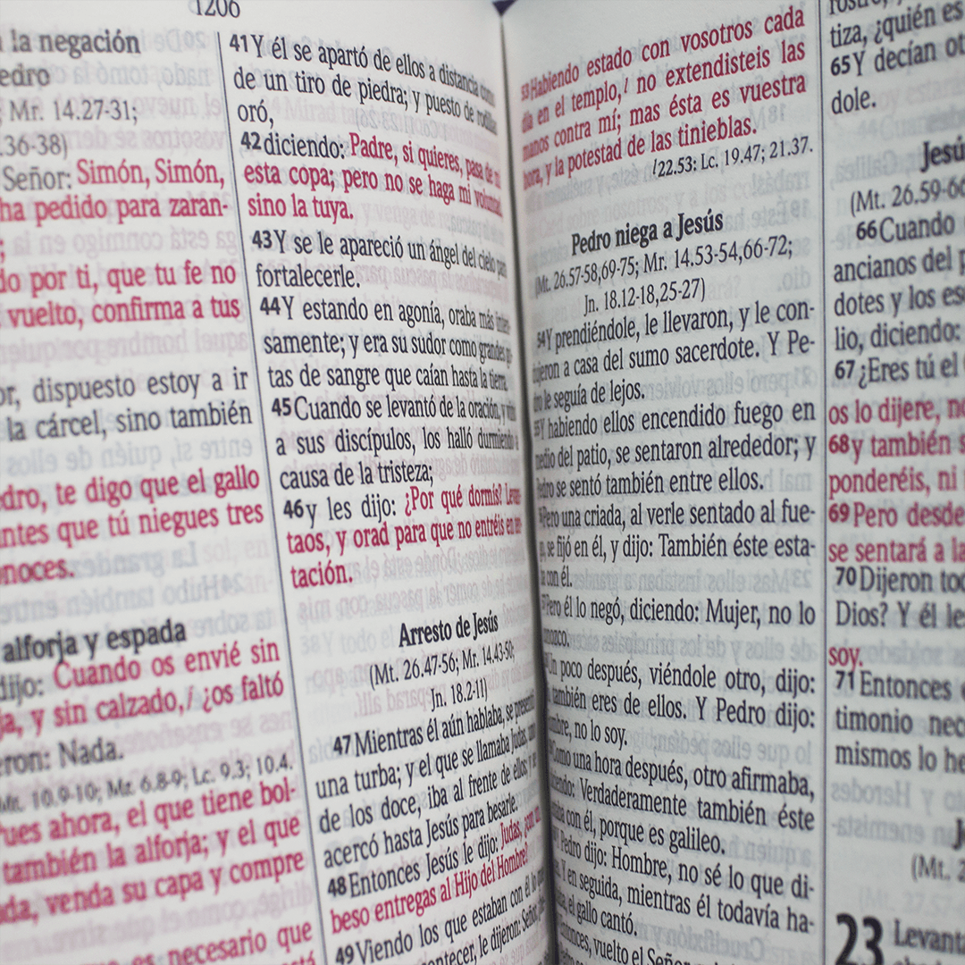 rvr066clgpjrti biblia rvr 1960 azul con concordancia rvr066clgpjrti biblia rvr 1960 azul con concordancia