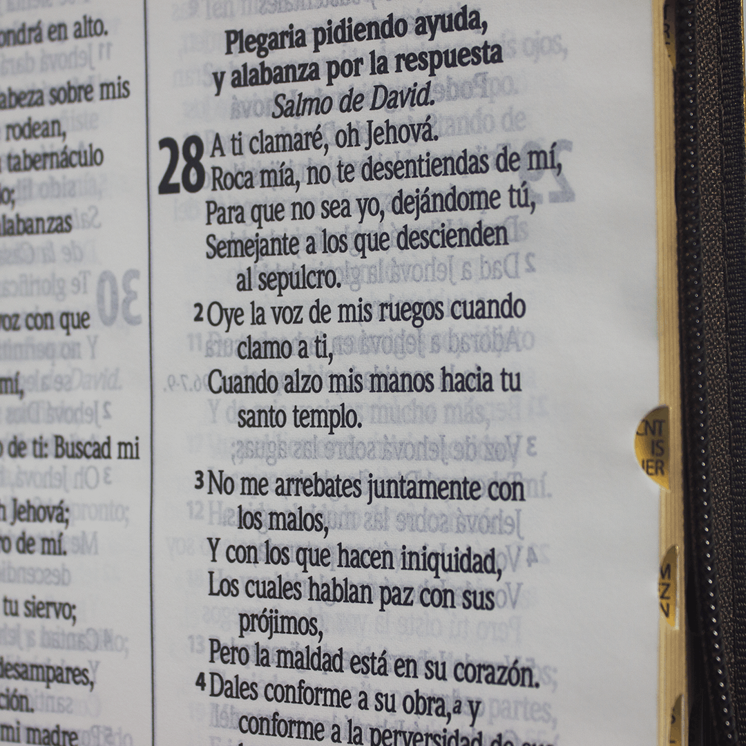 rvr.65uecfbpjr biblia ultra concordancia, tap flex vino (copia) rvr.65uecfbpjr biblia ultra concordancia, tap flex vino (copia)