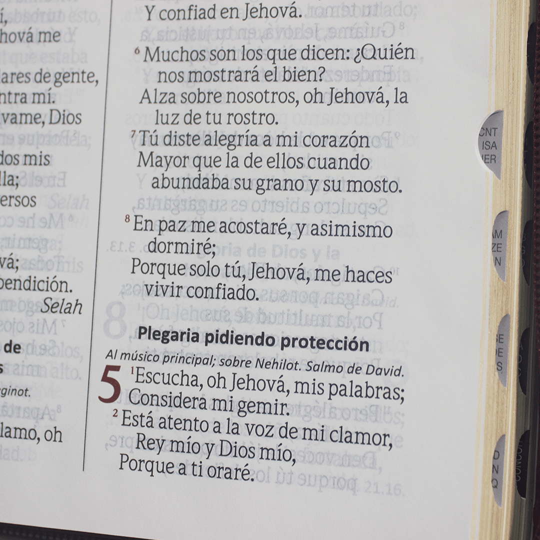 rvr.65uecfbpjr biblia ultra concordancia, tap flex vino rvr.65uecfbpjr biblia ultra concordancia, tap flex vino
