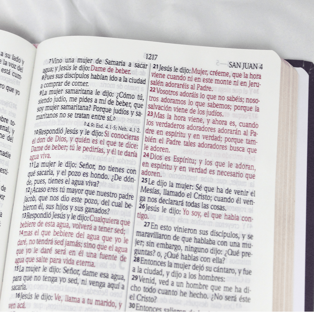rvr60uecfbpjr biblia venciendo el miedo (copia) rvr60uecfbpjr biblia venciendo el miedo (copia)