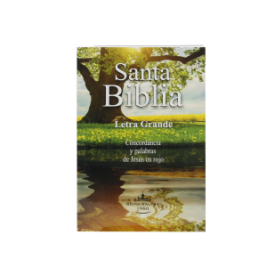 rvr060clgpjr biblia tapa brochura ilustrada