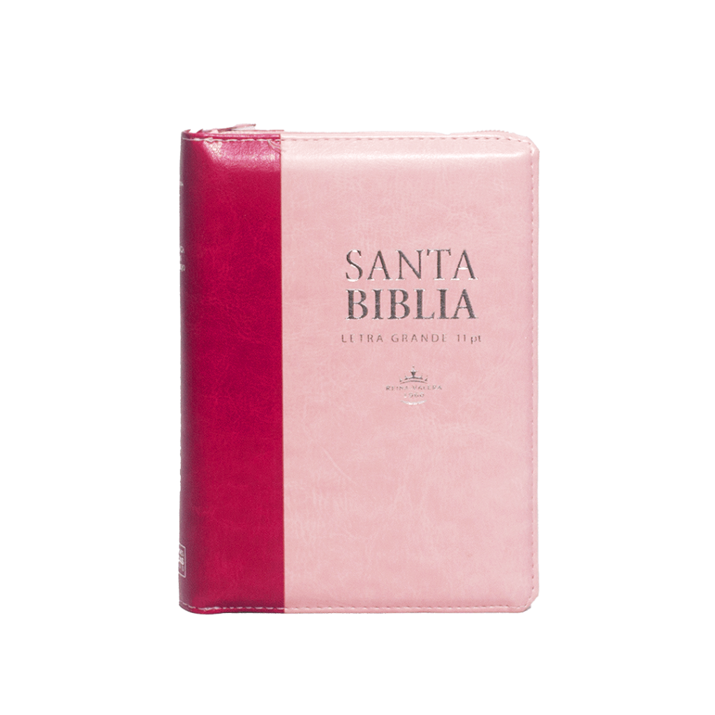 RVR046CLSGIPJRZTI - SANTA BIBLIA TAPA SINTETICA ROSA rvr60uecfbpjr biblia venciendo el miedo (copia)