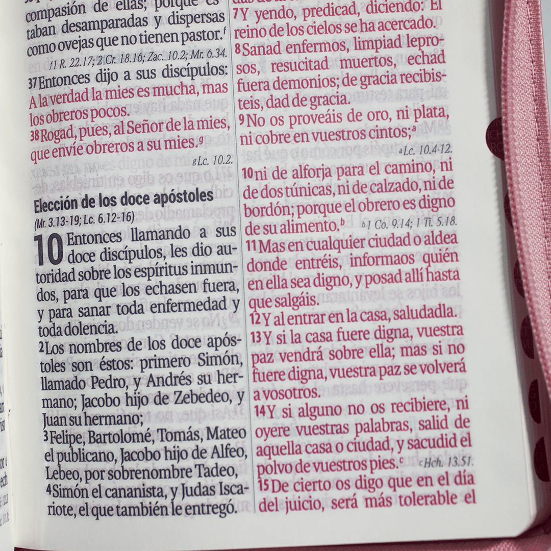 rvr60uecfbpjr biblia venciendo el miedo (copia) rvr60uecfbpjr biblia venciendo el miedo (copia)