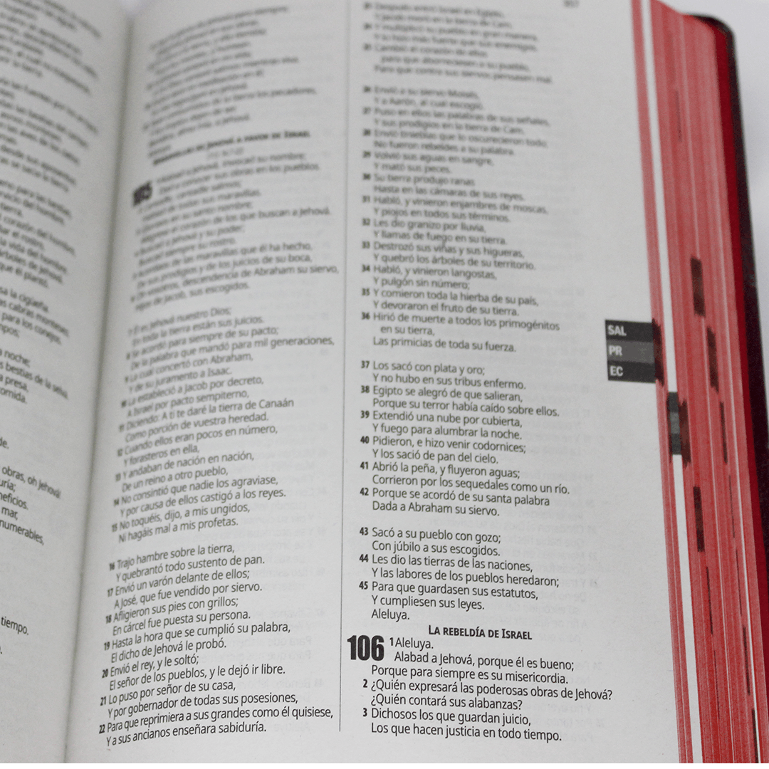 rvr065ec biblia tapa imitaciÓn piel negra (copia) rvr065ec biblia tapa imitaciÓn piel negra (copia)