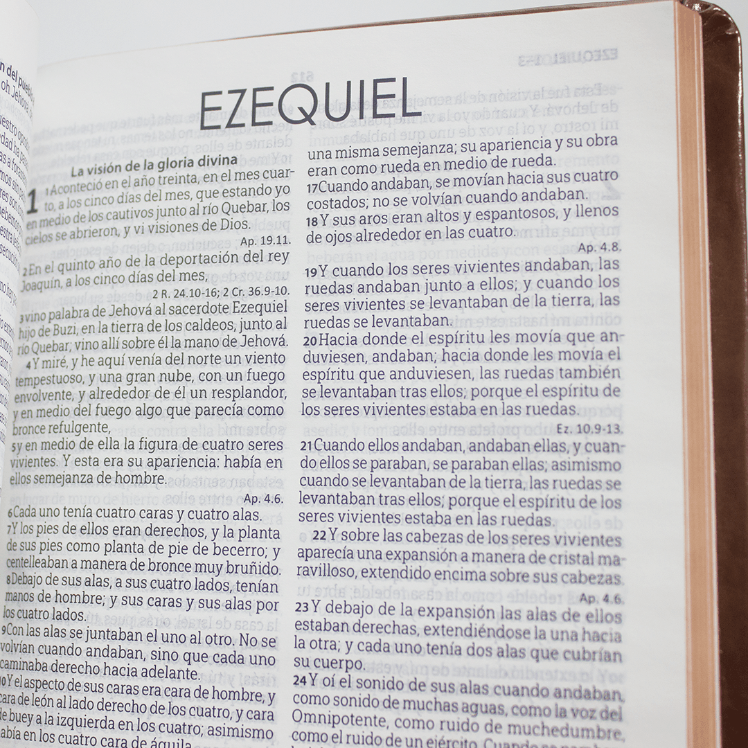 rvr.65uecfbpjr biblia ultra concordancia, tap flex vino (copia) rvr.65uecfbpjr biblia ultra concordancia, tap flex vino (copia)