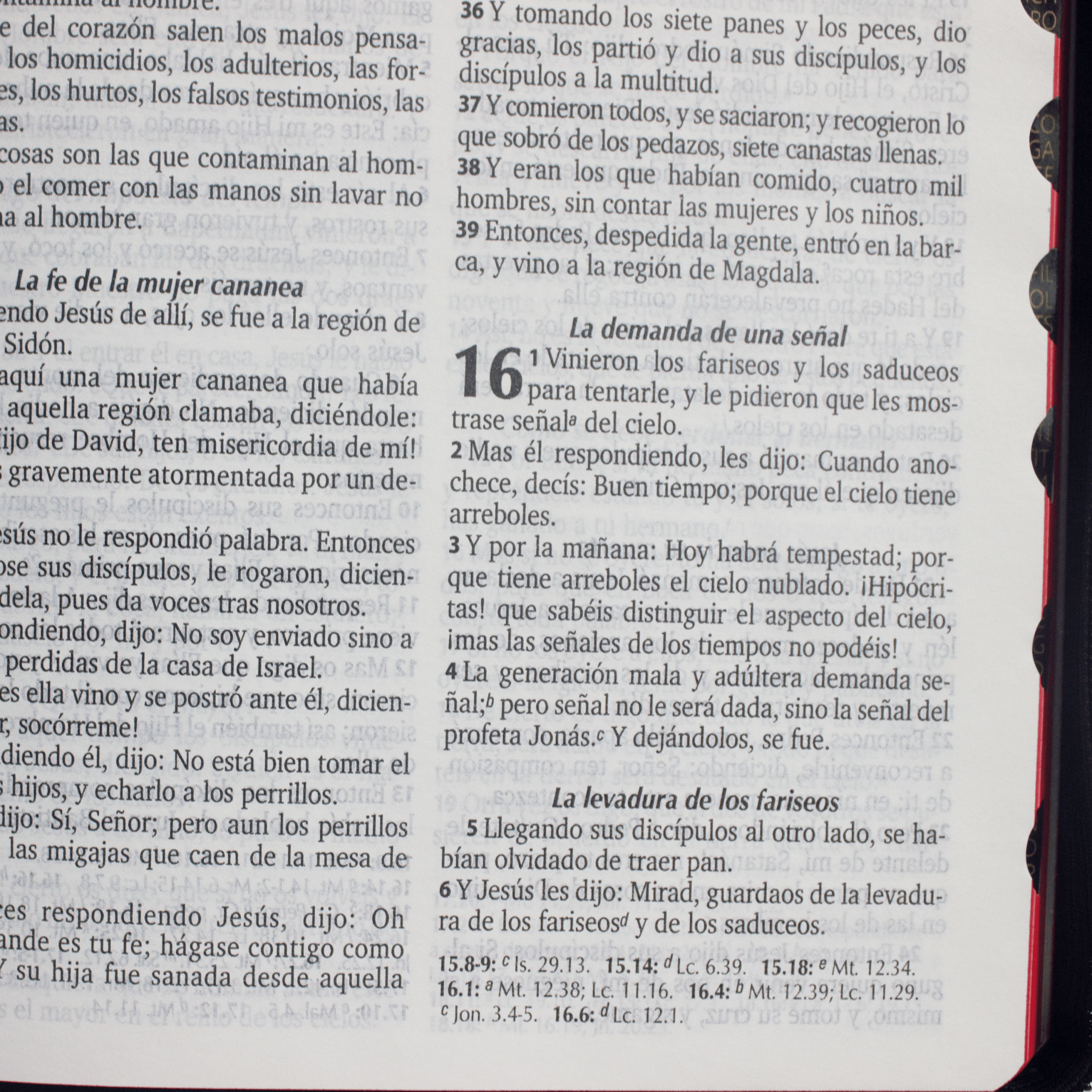 rvr065eczti biblia en espaÑol, tapa negra concordancia rvr065eczti biblia en espaÑol, tapa negra concordancia