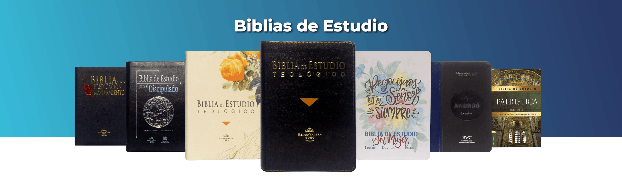 publicidadmesa de trabajo 10 scaled (1)