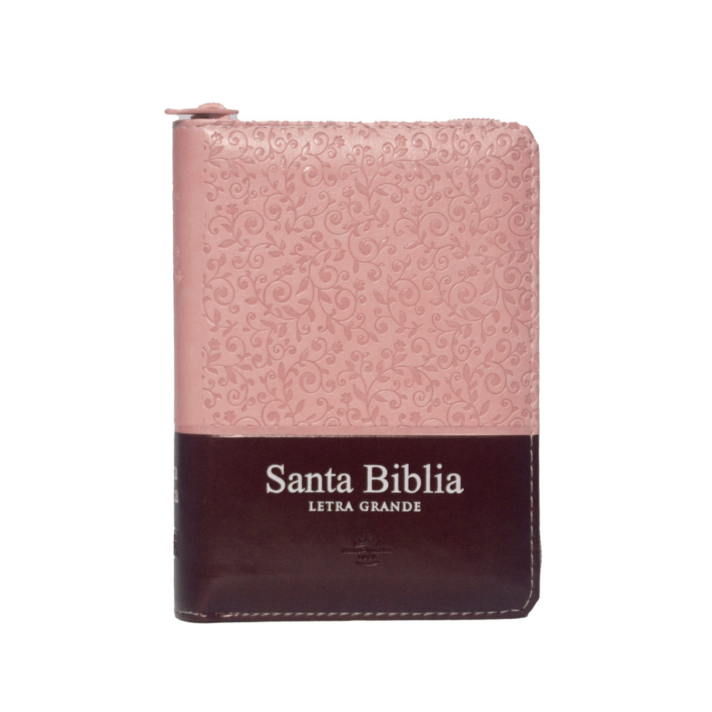 RVR.26CLSGIPJRZTI - BIBLIA EN ESPAÑOL, TAPA SINTETICA ROSA/MARRÓN rvr60uecfbpjr biblia venciendo el miedo (copia)