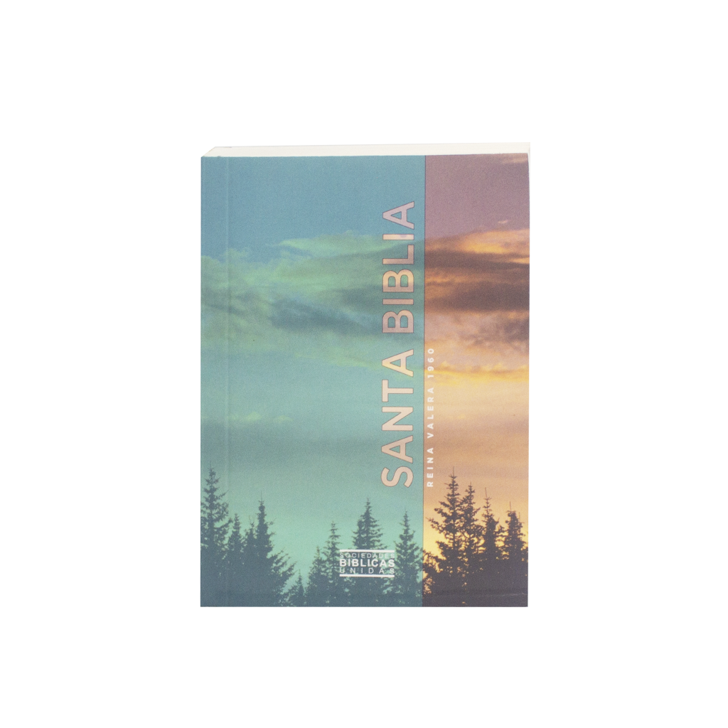 RVR20E - BIBLIA EN ESPAÑOL, TAPA CIELO rvr60uecfbpjr biblia venciendo el miedo (copia)