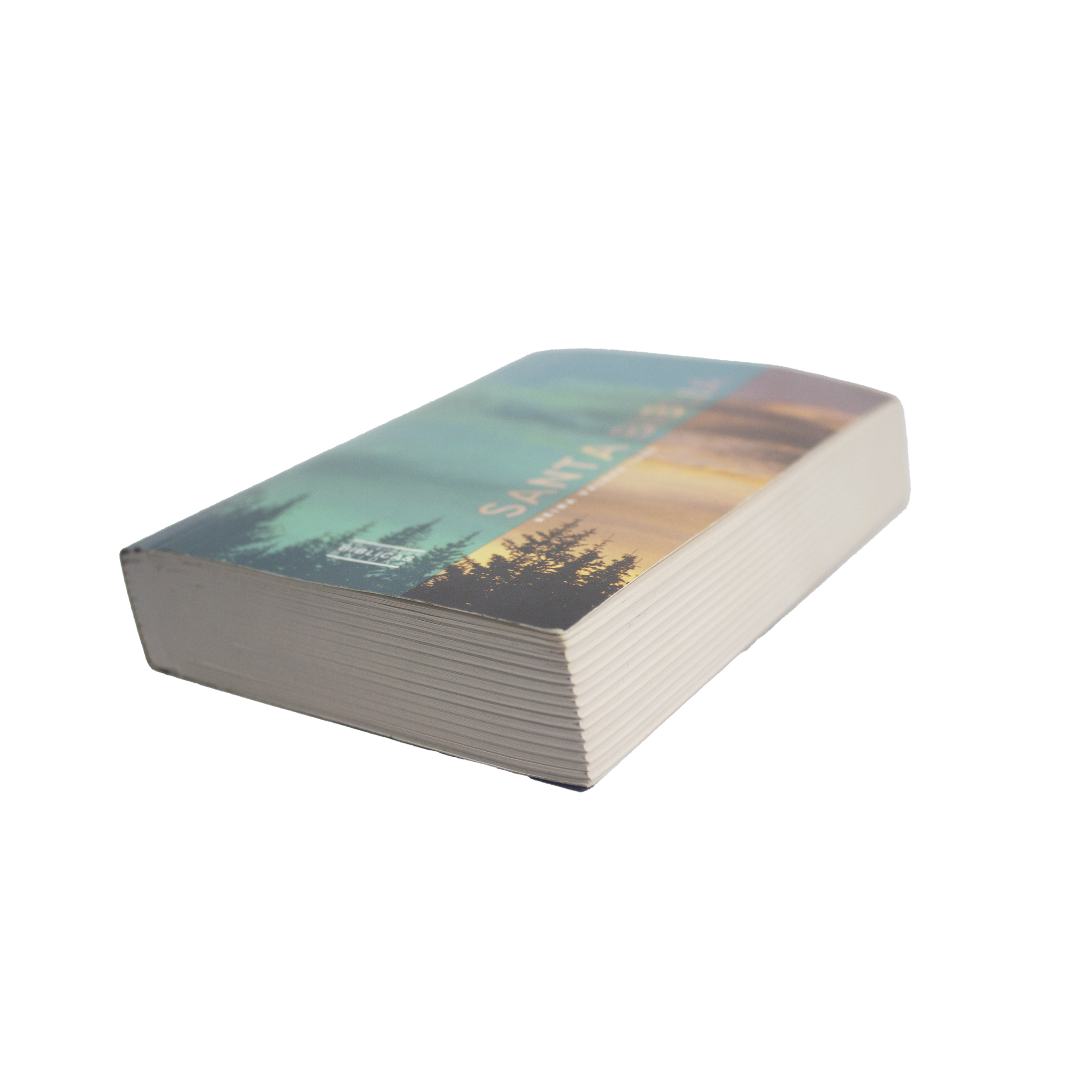 rvr60uecfbpjr biblia venciendo el miedo (copia) rvr60uecfbpjr biblia venciendo el miedo (copia)