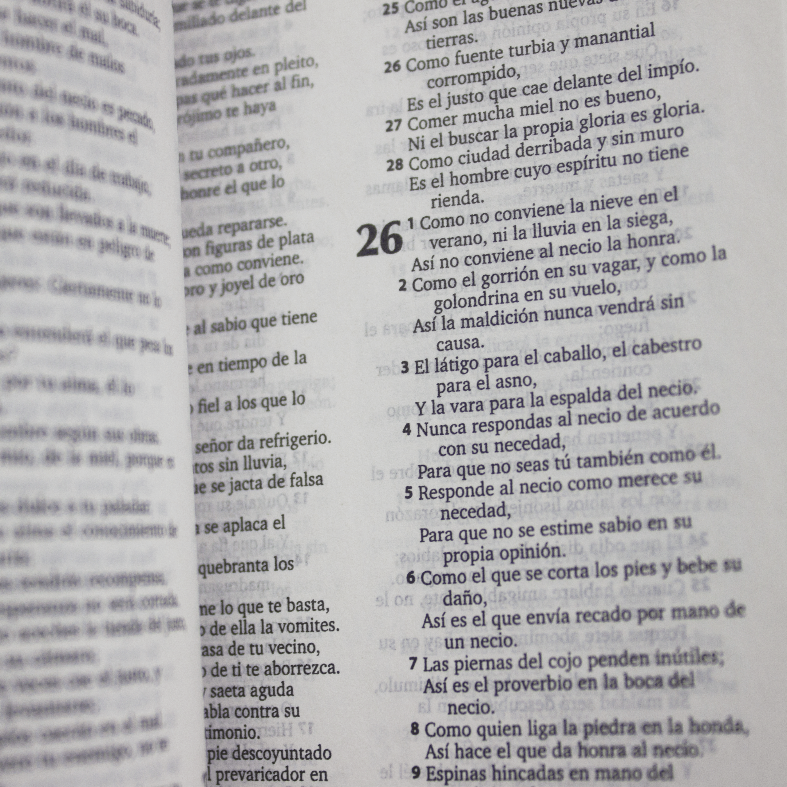 rvr20e biblia en espaÑol, tapa cielo rvr20e biblia en espaÑol, tapa cielo