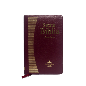 rvr065ec biblia tapa imitaciÓn piel negra (copia)