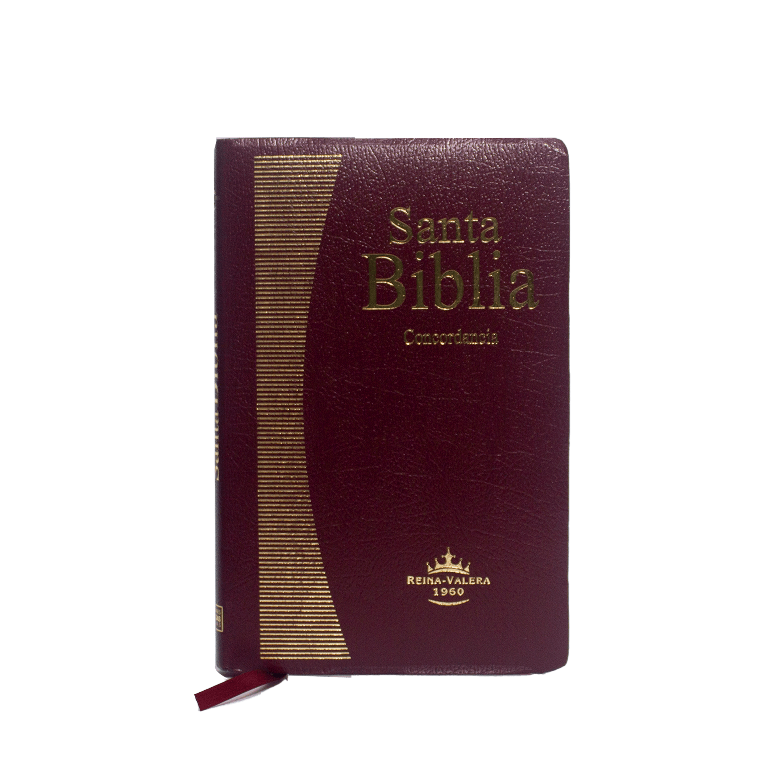 rvr065ec biblia tapa imitaciÓn piel negra (copia) rvr065ec biblia tapa imitaciÓn piel negra (copia)