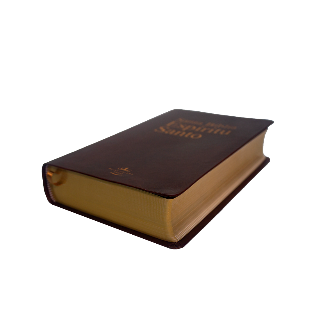 santa biblia espÍritu santo azul imi piel (copia) santa biblia espÍritu santo azul imi piel (copia)