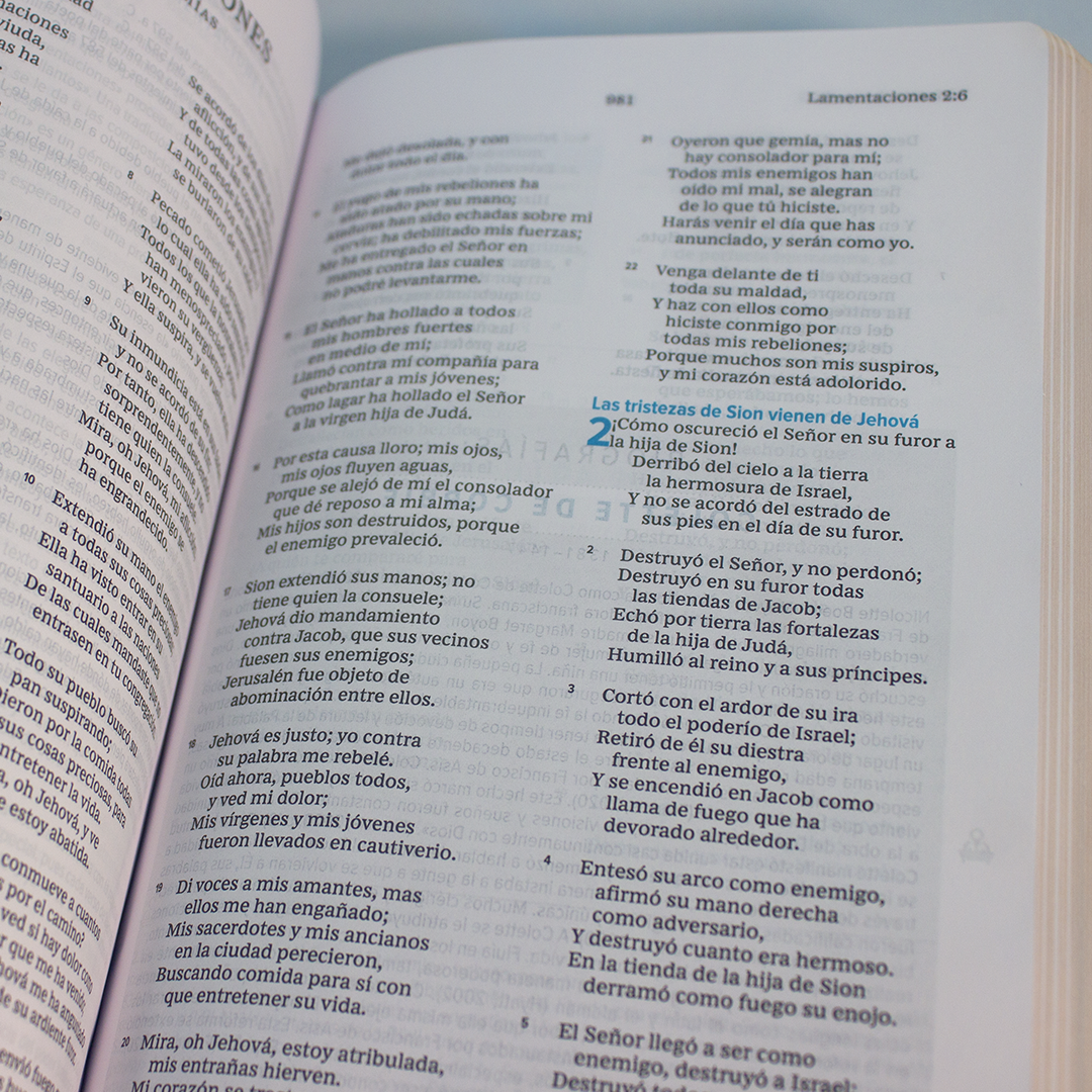 santa biblia espÍritu santo azul imi piel (copia) santa biblia espÍritu santo azul imi piel (copia)