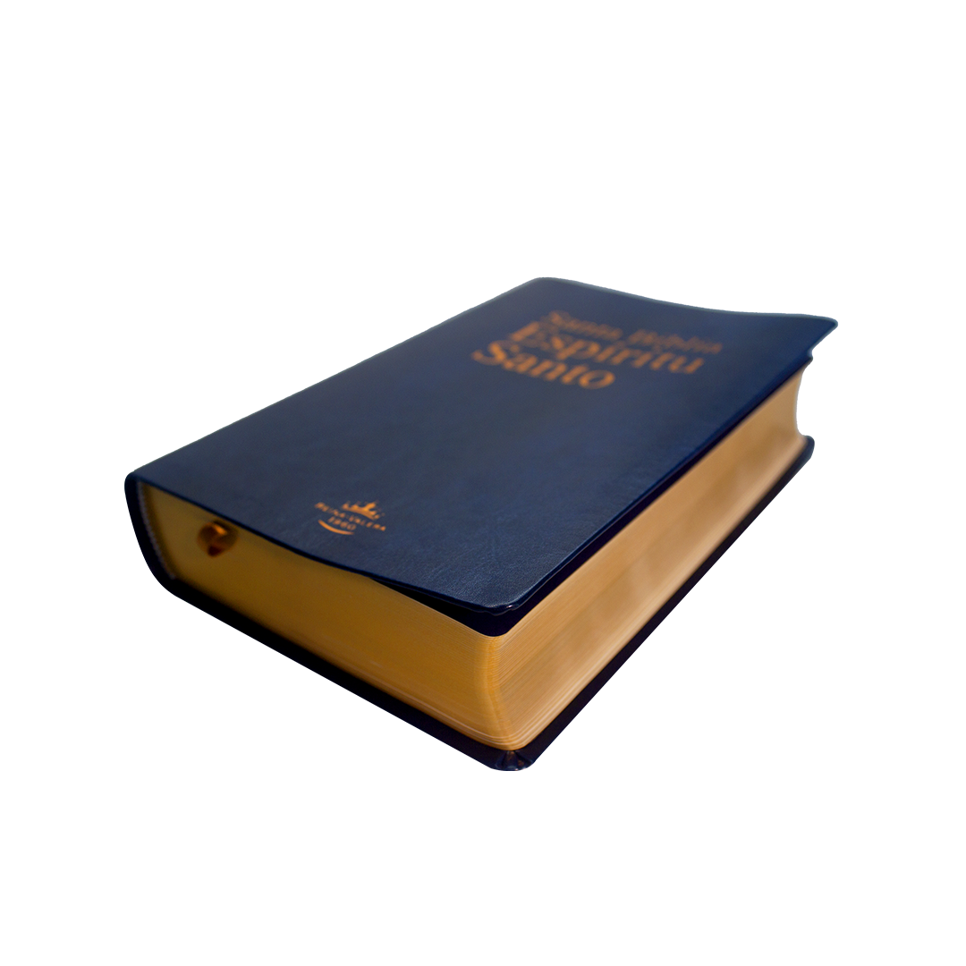 santa biblia espÍritu santo negro imi piel (copia) santa biblia espÍritu santo negro imi piel (copia)