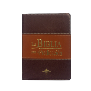 rvr086lgeezti biblia para la predicacion negra (copia)