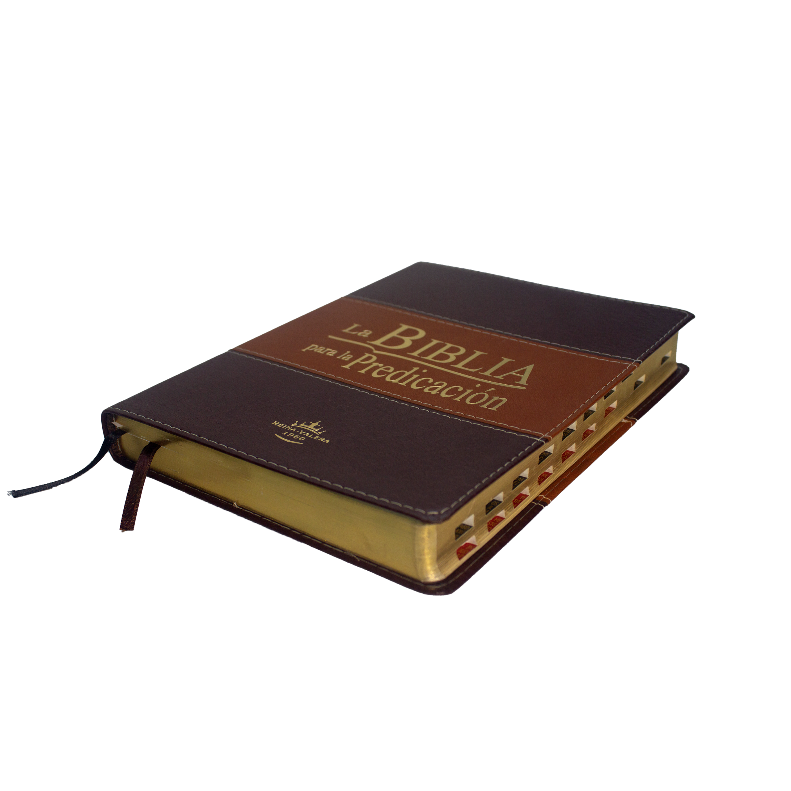 rvr086lgeezti biblia para la predicacion negra (copia) rvr086lgeezti biblia para la predicacion negra (copia)